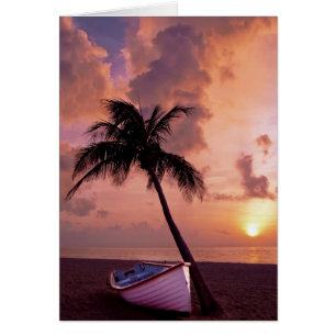 Plage, océan, palmier, bateau et coucher du soleil