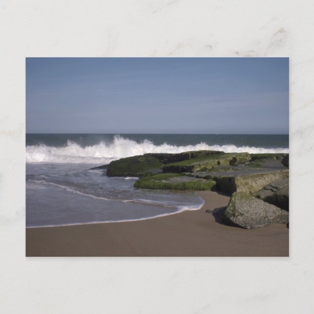 Plage Scène 2 Carte postale (Devant)