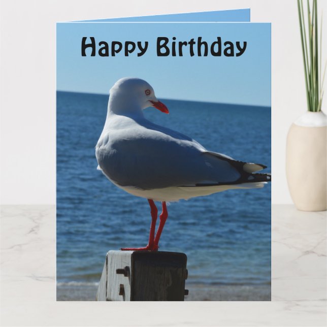 Plage Sea Gull, Jumbo Carte d'anniversaire (Devant)