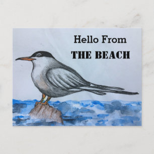 Plage Tern Seagull Hello Carte postale