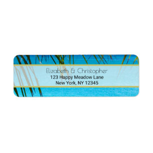 Plage tropicale avec encadrement de palmiers
