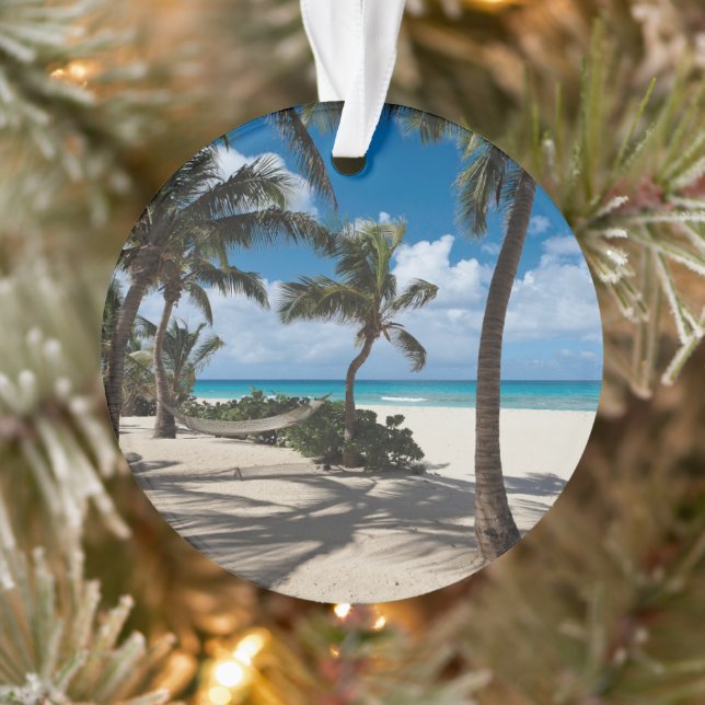Plages tropicales | Anguilla Beach, Palm Tree (Arbre)