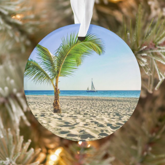 Plages tropicales | Bateau, Palmier, Aruba (Arbre)