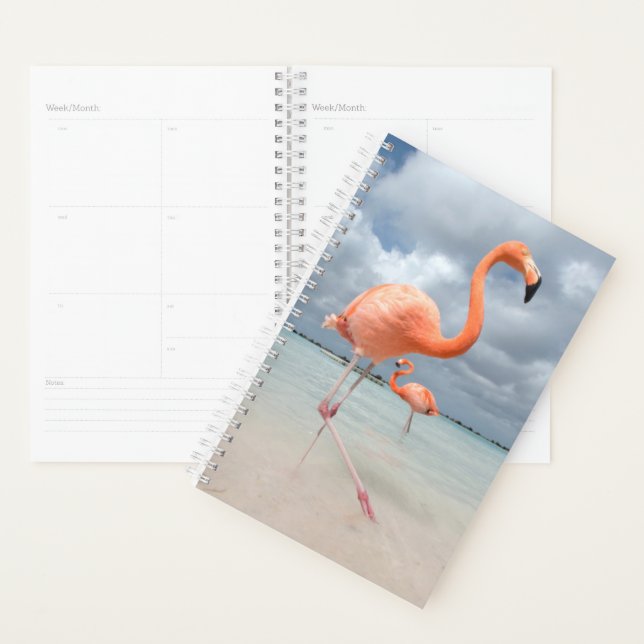 Plages tropicales | Flamants roses Beach, Aruba (Devant avec enveloppe)