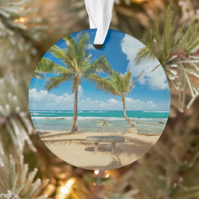 Plages tropicales | Kuau Cove Beach, Maui Hawaii (Arbre)