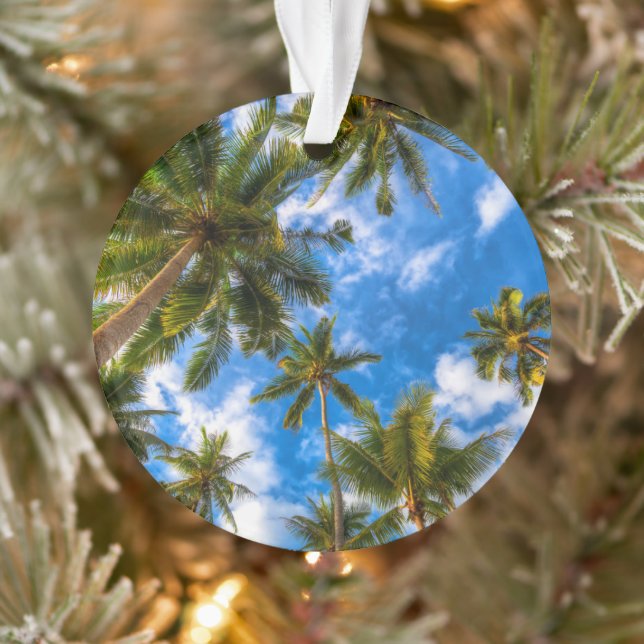 Plages tropicales | Palmiers sur le ciel bleu (Arbre)