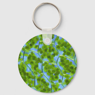 Plagiomnium Affine Plant Cells with Chloroplasts Keychain