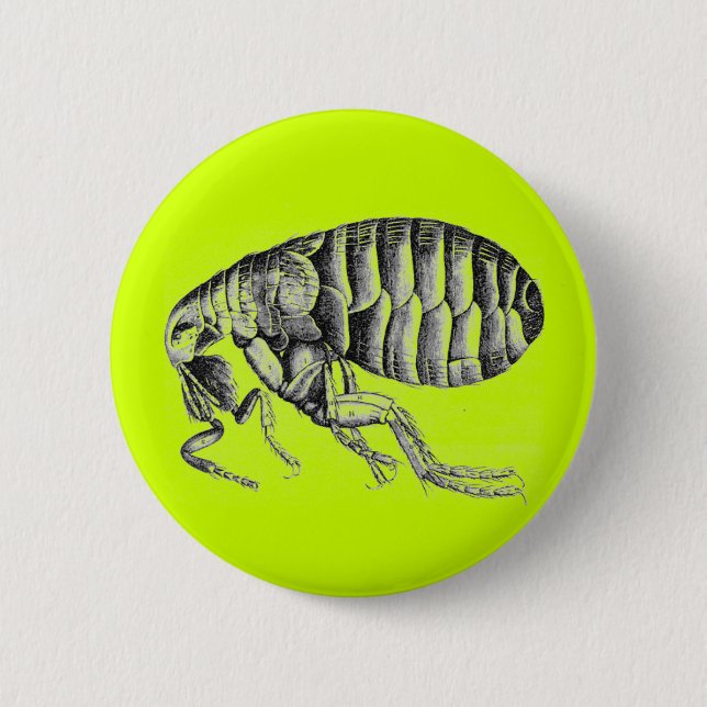 Plague flea 2 inch round button (Front)