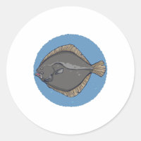 Plaice Fish