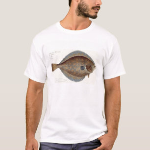 Plaice (Pleuronectes Platessa) plate XLII from 'Ic T-Shirt