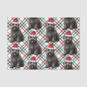 Plaid and Christmas Bouvier Dog Lover Holiday Tissue Paper
