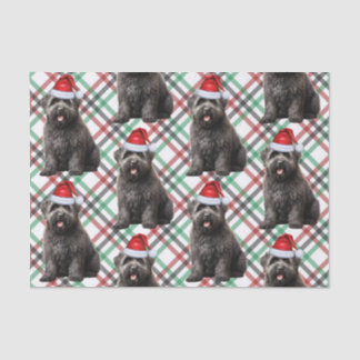 Plaid and Christmas Bouvier Dog Lover Holiday Tissue Paper