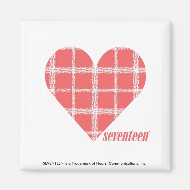 Plaid Pink 4 Magnet (Front)