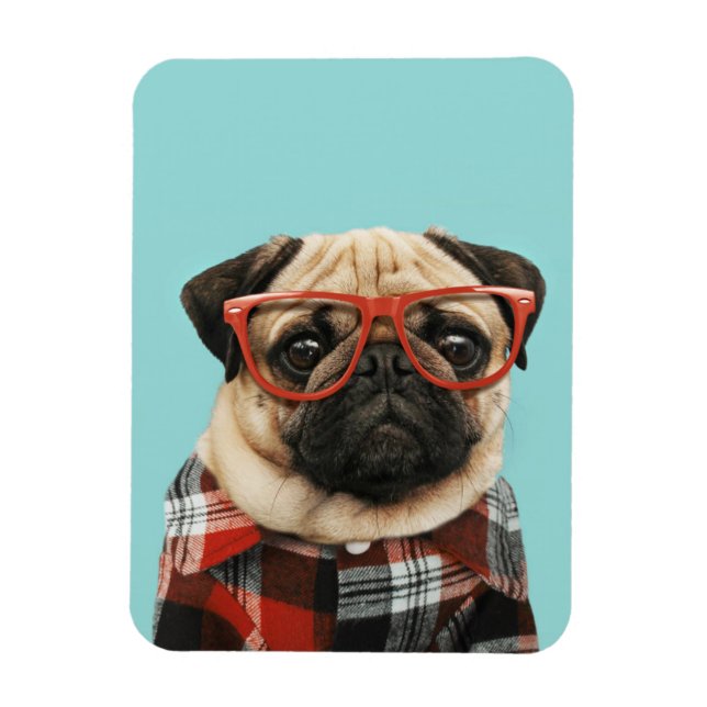 Plaid Shirt Pug Magnet (Vertical)