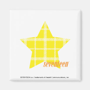 Plaid Yellow 4 Magnet