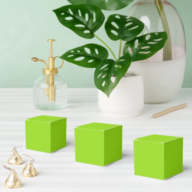 Plain green favor box (Multiple)