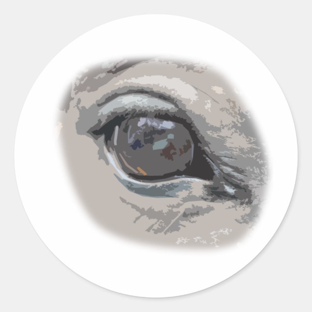 Plain Grey Horse's Eye Classic Round Sticker (Front)