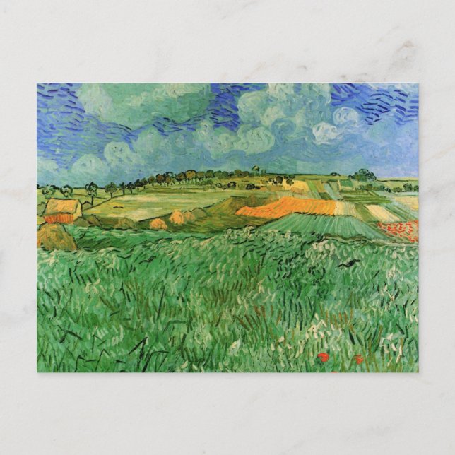 Plain Near Auvers by Vincent van Gogh Postcard (Front)