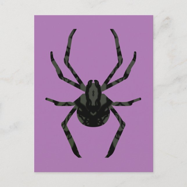 Plain Old Spider Postcard (Front)