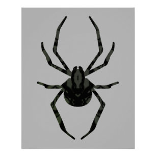 Plain Old Spider Poster