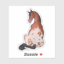 Plain refreshing Appaloosa