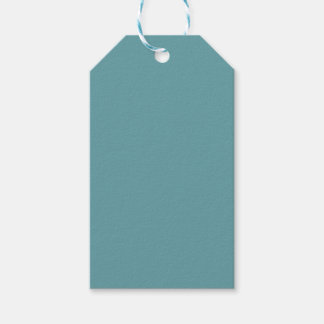 Plain Teal Gift Tags