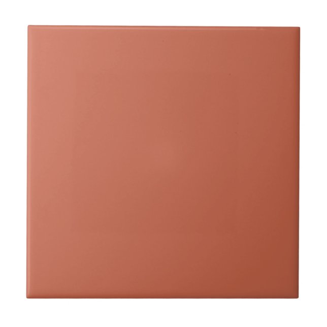 Plain Terracotta Solid Color Tile (Front)