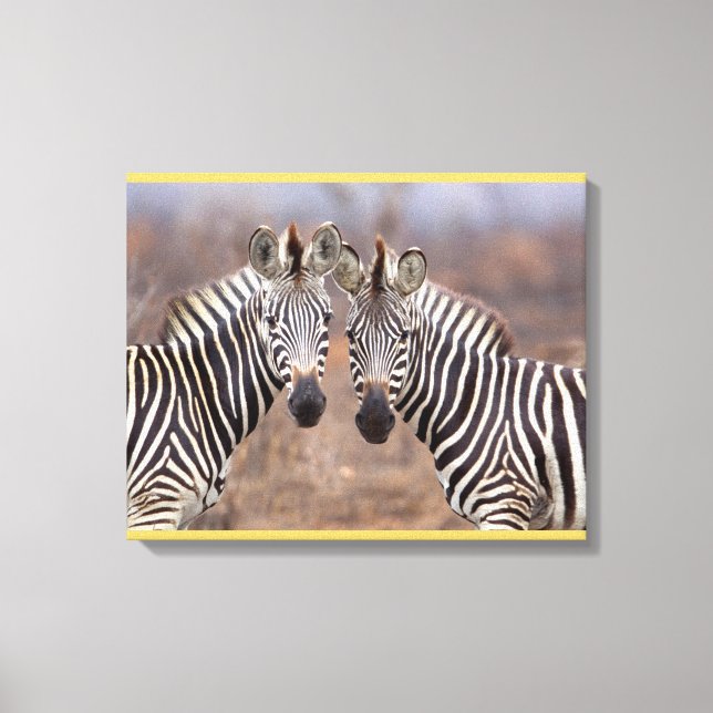Plain Zebras, Kruger National Park Canvas Print (Front)