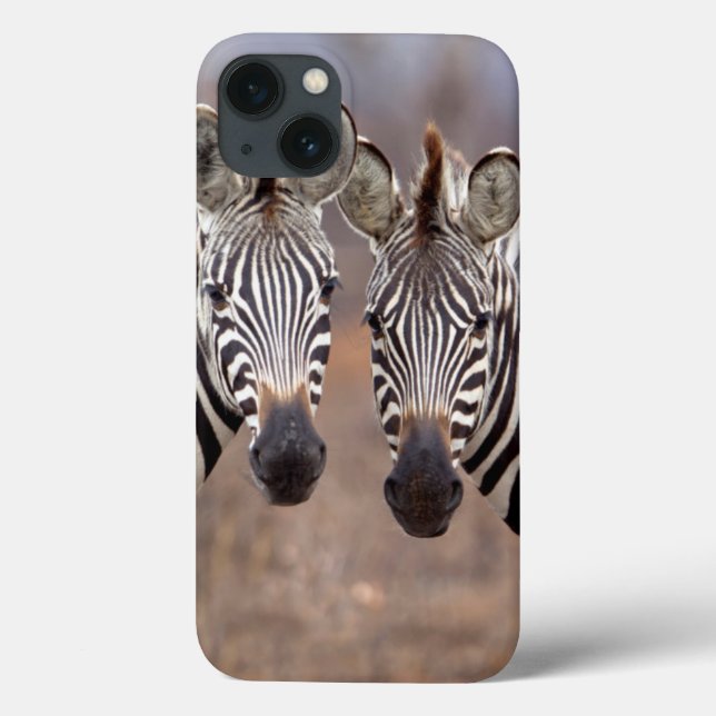 Plain Zebras, Kruger National Park Case-Mate iPhone Case (Back)