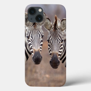 Plain Zebras, Kruger National Park iPhone 13 Case