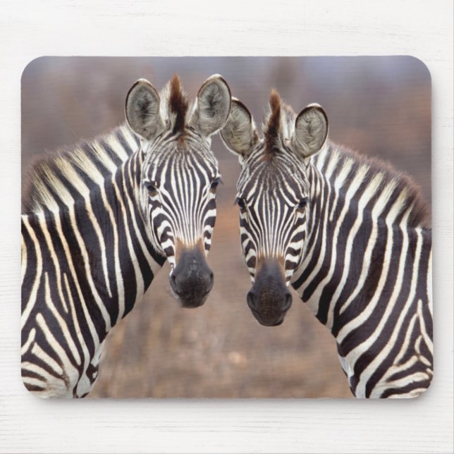 Plain Zebras, Kruger National Park Mouse Pad (Front)
