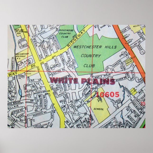 Plaines blanches, NY Carte Vintage Poster (Devant)