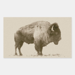 Plains Bison Sticker