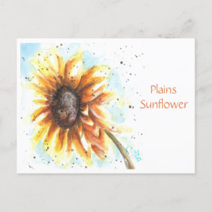 Plains Sunflower Post Card