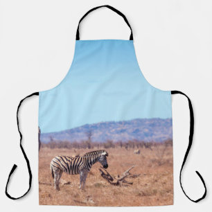 Plains zebra in Kruger National park, South Africa Apron