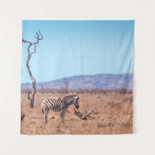 Plains zebra in Kruger National park, South Africa Tapestry