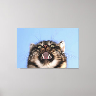 Plaintive Meow Of A Tabby Cat Acrylic Painting  Canvas Print
