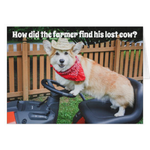 Plaisanterie d'anniversaire de corgi d'agriculteur