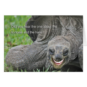 Plaisanterie de sourire de tortue
