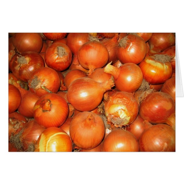 Plaisir d'oignon (Devant Horizontal)