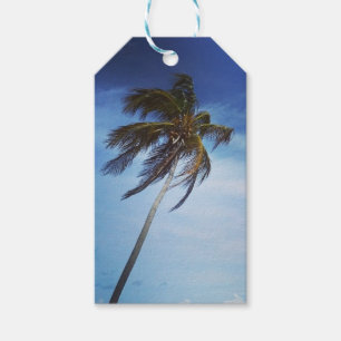Plam Tree Photo Customizable Gift Tags