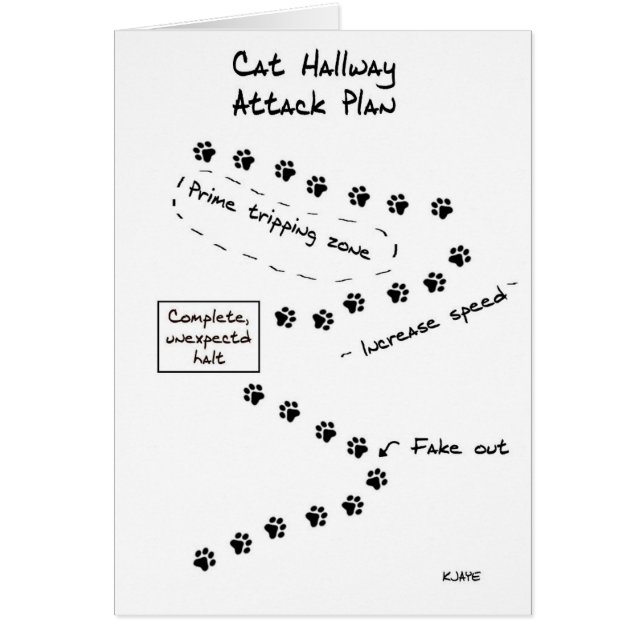 Plan d'attaque de couloir de chat (Devant)
