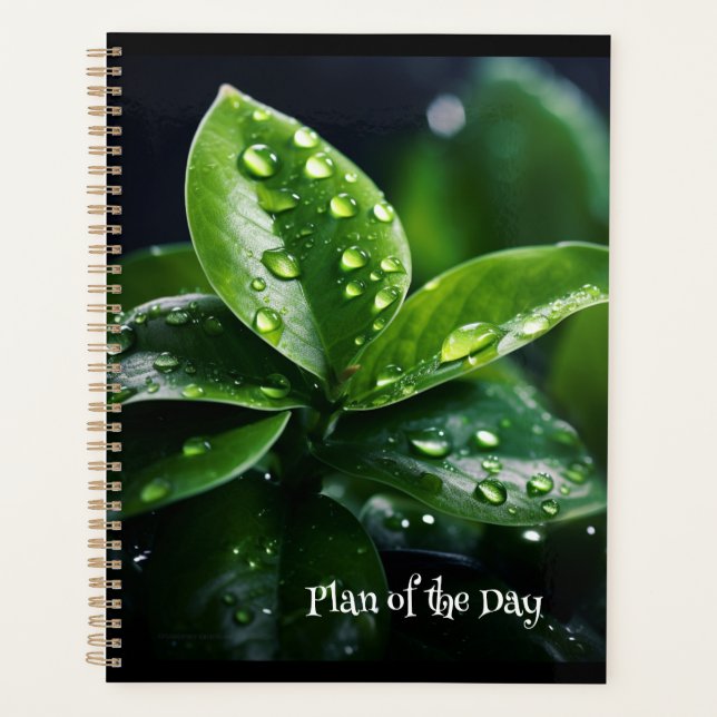 Plan of the Day Planner (Front)