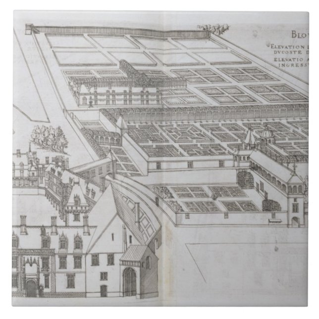 Plan of the enclosed gardens and Chateau de Gaillo Tile (Front)