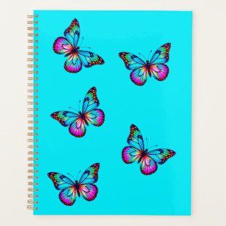Plan Papillon Aqua Blue