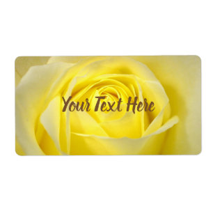 Plan rapproché de rose jaune