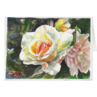 Plan rapproché des roses