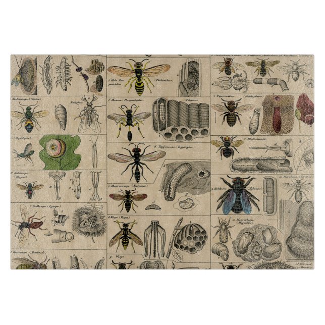 Planche À Découper Abeille Insecte Bug Wasp Histoire naturelle abeill (Devant)