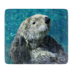 Planche À Découper Adorable Otter de mer Mignonne Eau Bleue