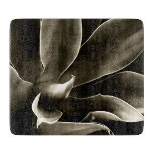 Planche À Découper Agave Attenuata en sépia